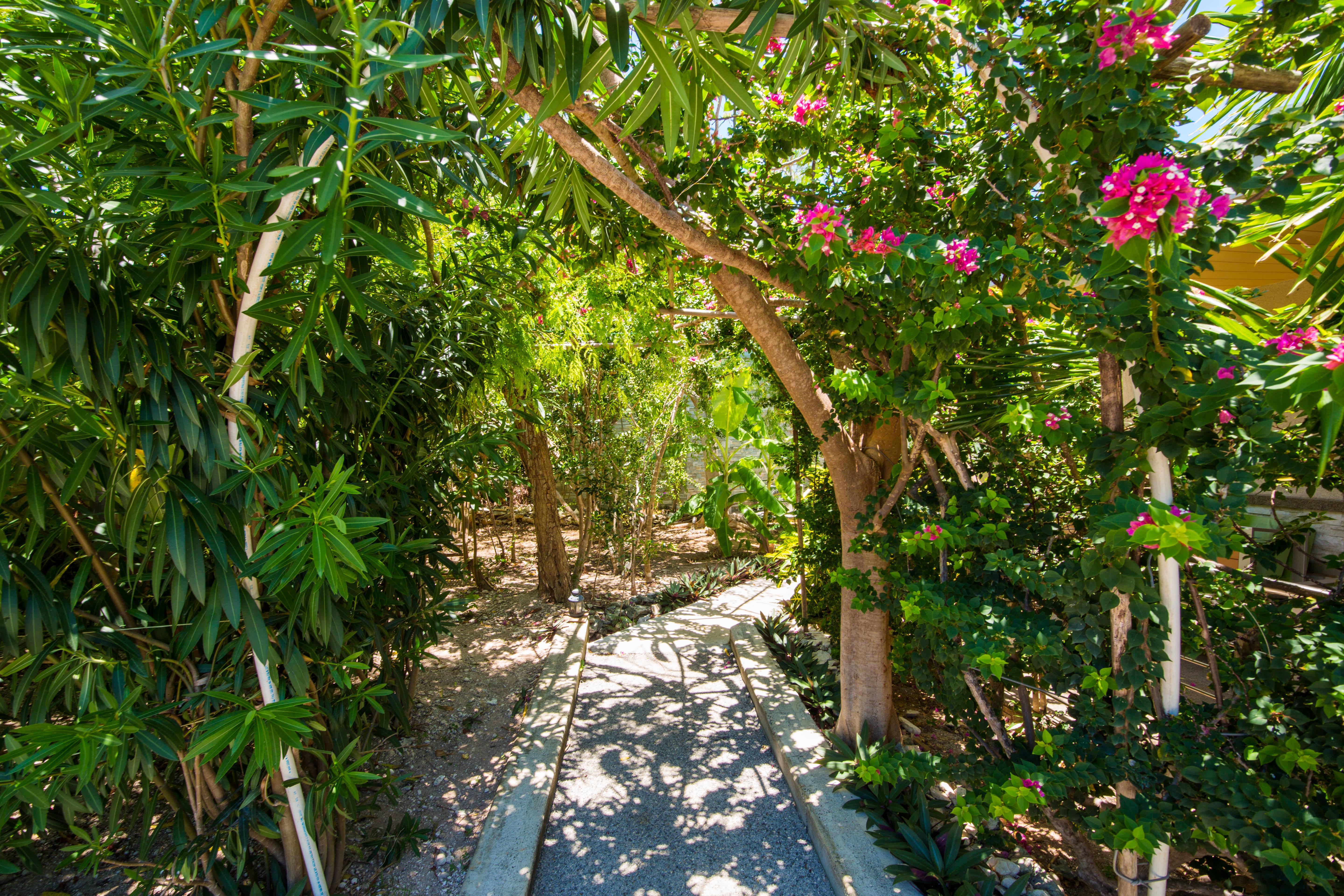 One On Marlin Resort (Adults Only) Turtle Cove Exteriér fotografie