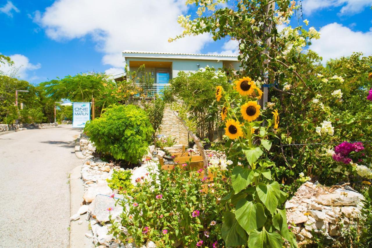 One On Marlin Resort (Adults Only) Turtle Cove Exteriér fotografie